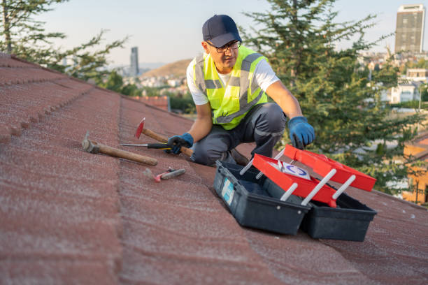 Best Storm Damage Siding Repair  in Lonoke, AR